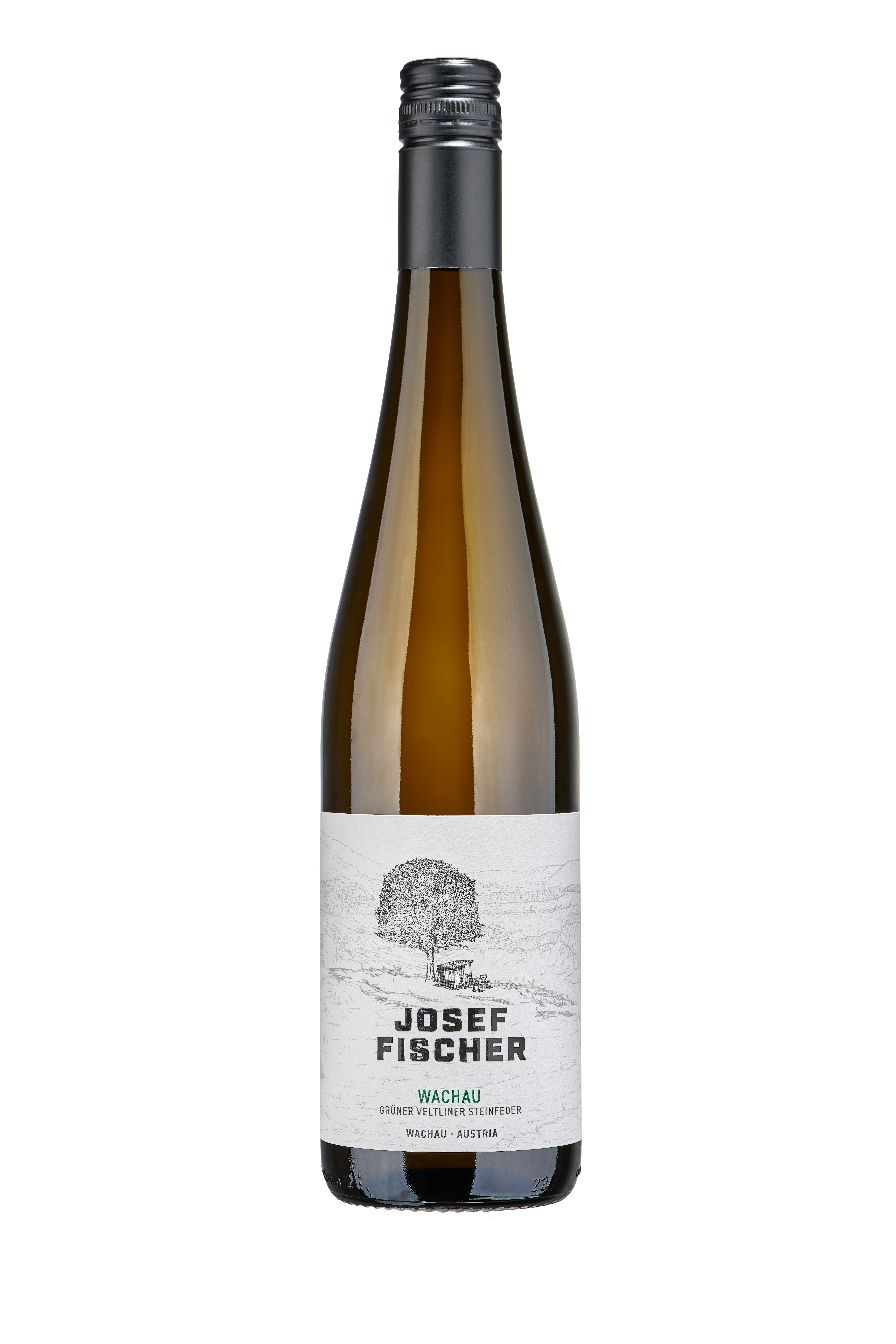 Grüner Veltliner "Steinfeder" Josef Fischer, Wachau