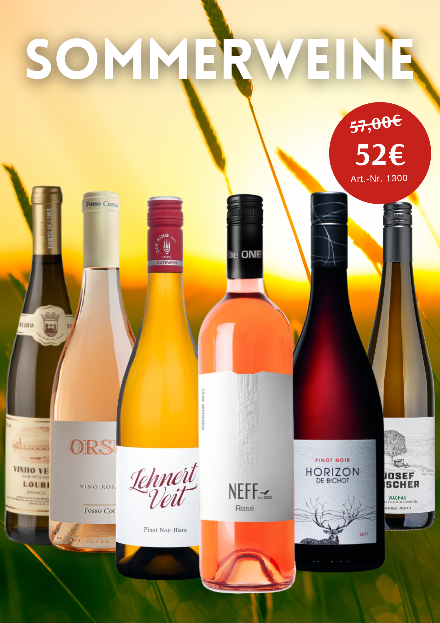 Probepaket "Sommerweine 2026" - Vorteilspreis