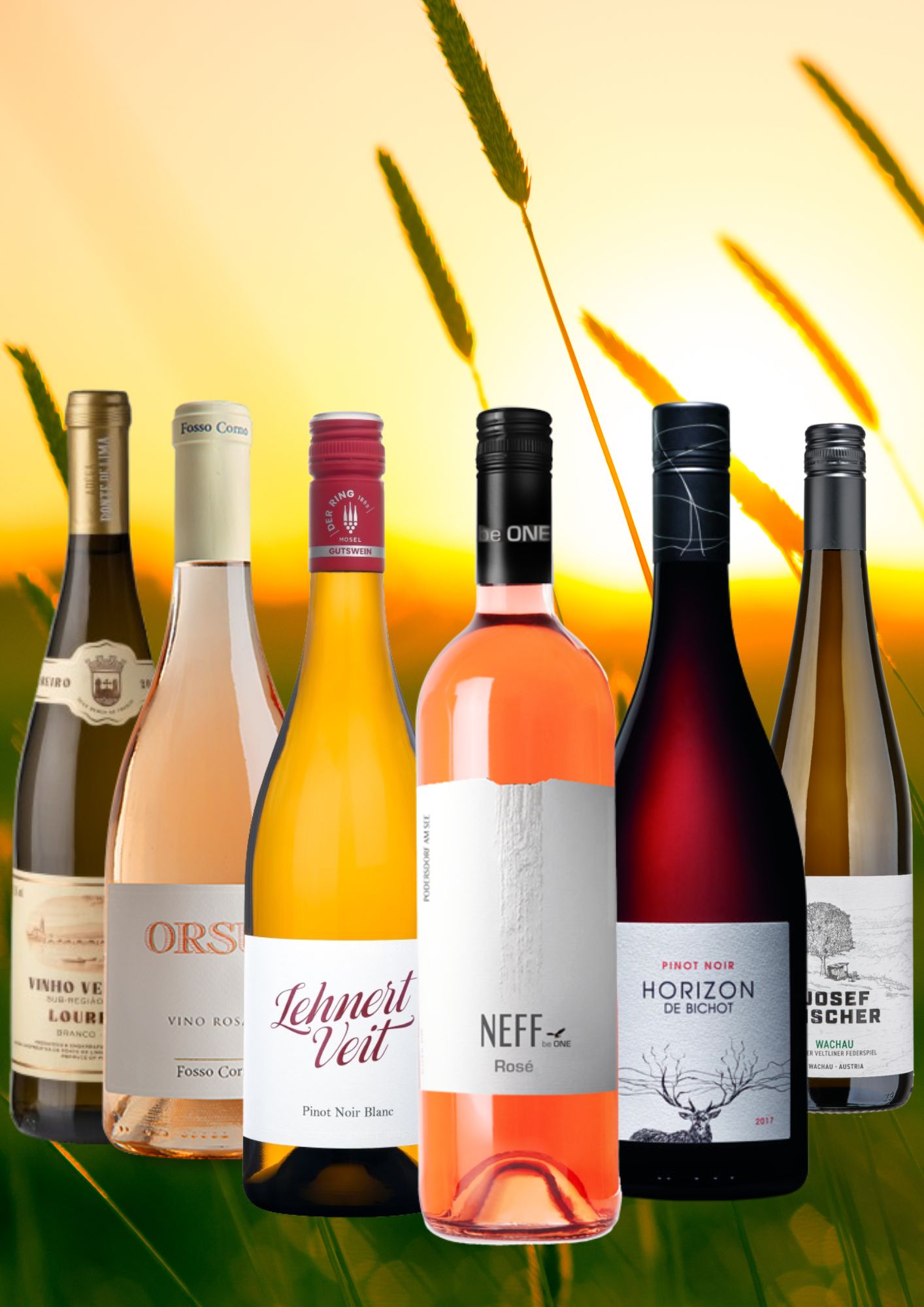 Probepaket "Sommerweine 2026" - Vorteilspreis